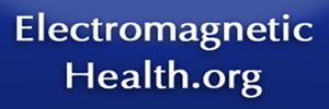 Electromagnetic Health